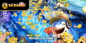 Mẹo Bắn Cá Dễ Trúng Xu - Săn Thưởng Nhanh Chóng Cho Newbie