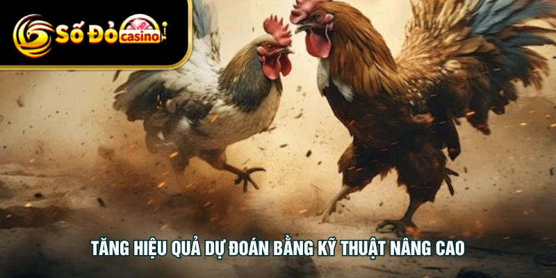 Tăng hiệu quả dự đoán bằng kỹ thuật nâng cao