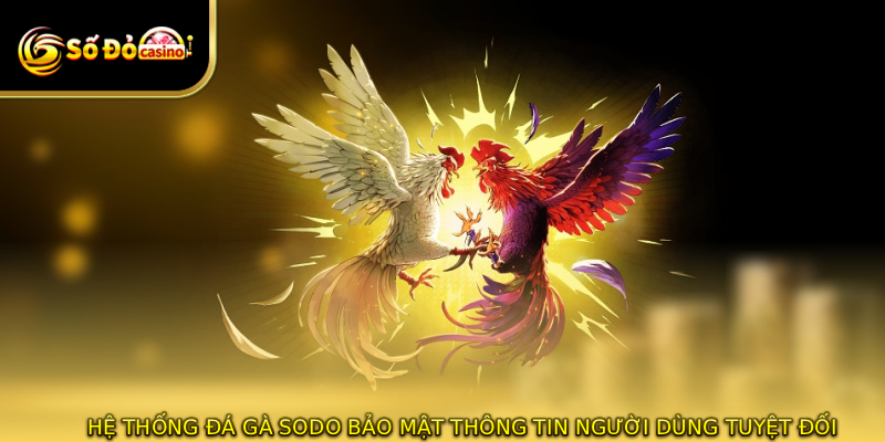 Hệ thống đá gà SODO bảo mật thông tin người dùng tuyệt đối