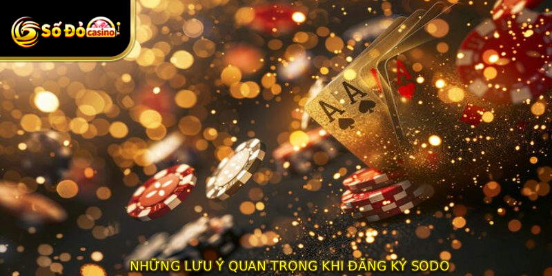 Những lưu ý quan trọng khi ĐĂNG KÝ SODO